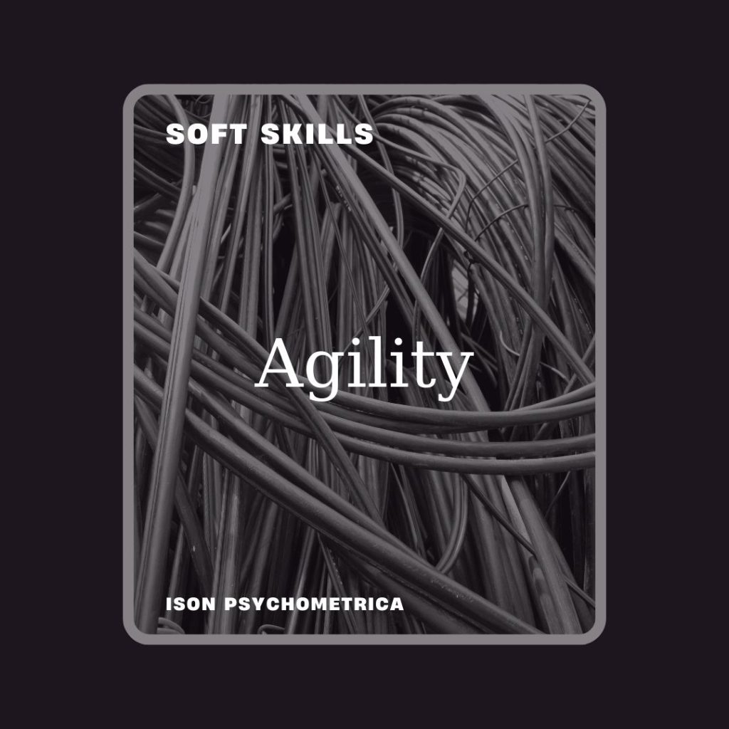 Agility-1024x1024 Soft Skills